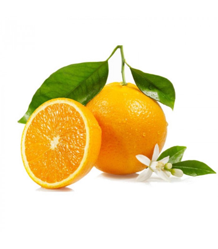 Shampoo Rubino, Capelli Fragili, con Sale Rosa dell’Himalaya, fragranza Pompelmo, Arancia Amara, Limone