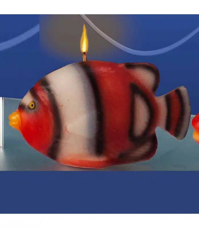 Candela pesce pagliaccio