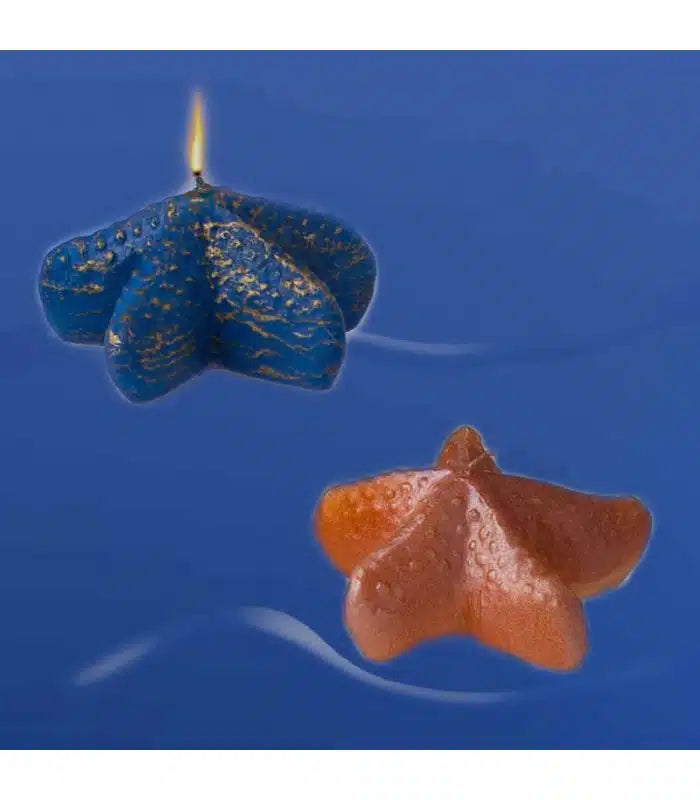 Candela stella marina