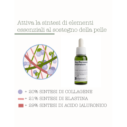 Fermentati Complex