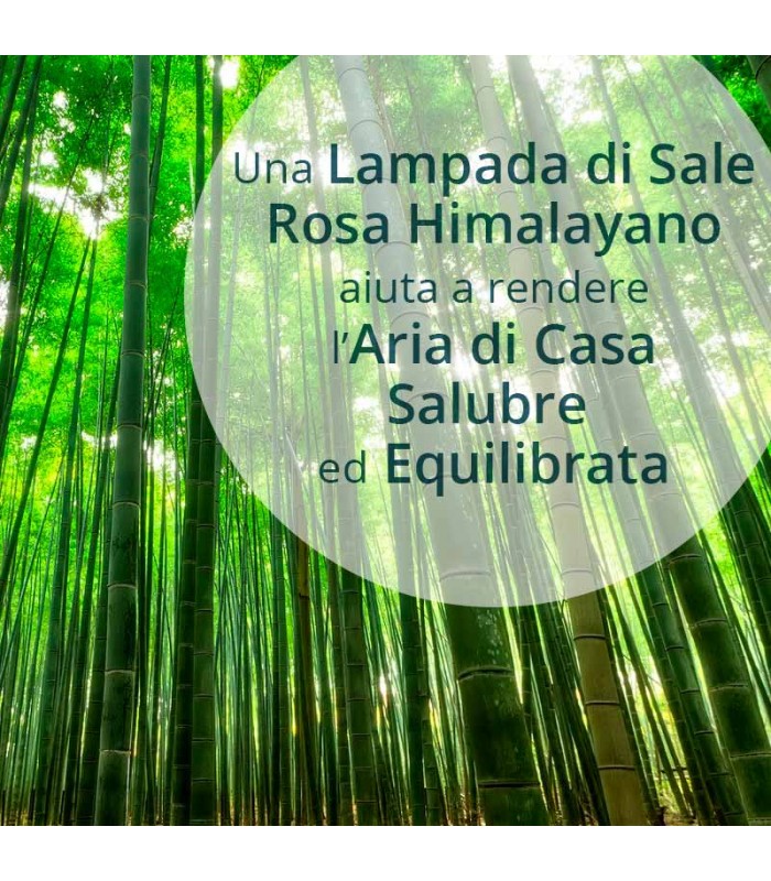 Lampada di Sale Rosa dell’Himalaya Braciere Liscio