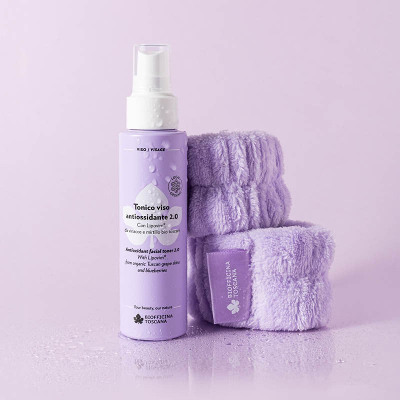Polsini viola