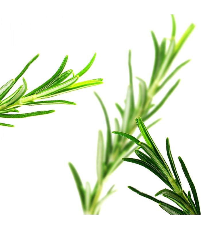 Shampoo Cristallo, Capelli Grassi, con Sale Rosa dell’Himalaya, fragranza Salvia e Brezza