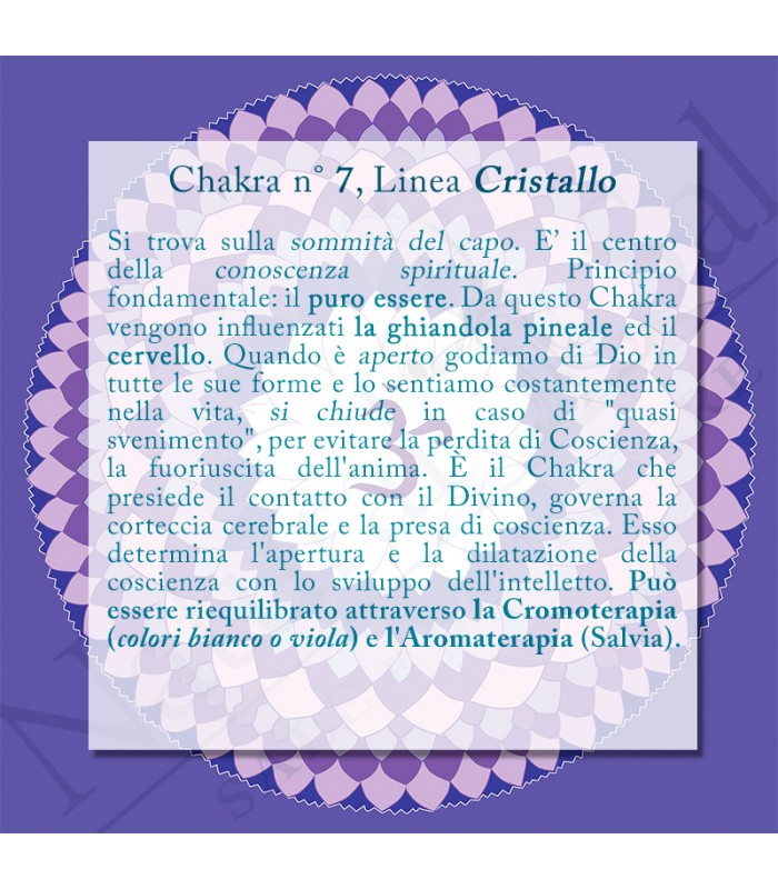 Shampoo Cristallo, Capelli Grassi, con Sale Rosa dell’Himalaya, fragranza Salvia e Brezza