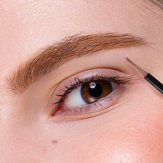 Sopraccigliatore Biondo