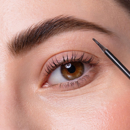 Sopraccigliatore Castano