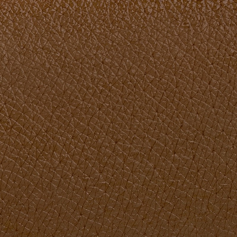 Sopraccigliatore Castano