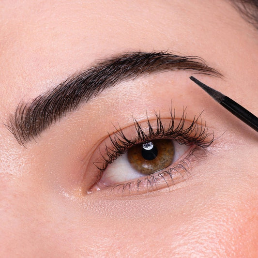 Sopraccigliatore Ebano