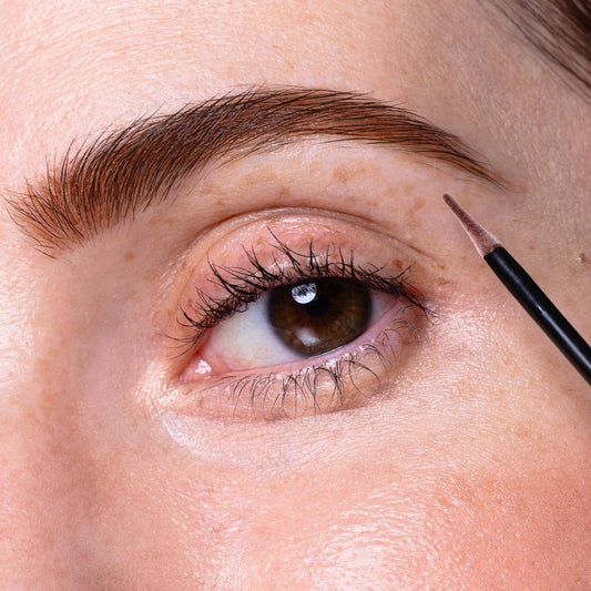 Sopraccigliatore rosso