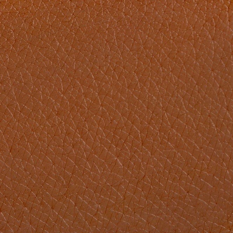 Sopraccigliatore rosso