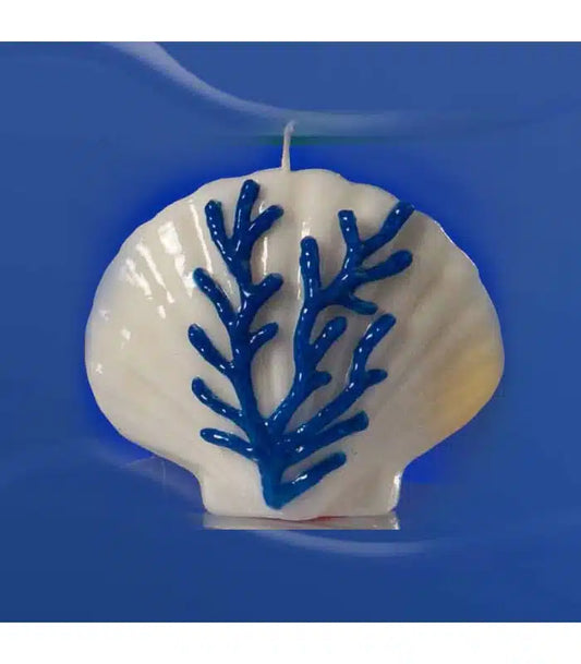 Candela corallo blu conchiglia