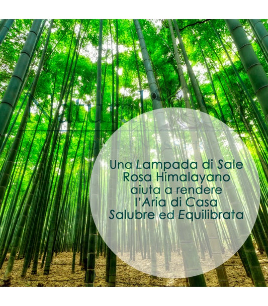 Lampada Sale Rosa Himalayano Braciere Grezzo