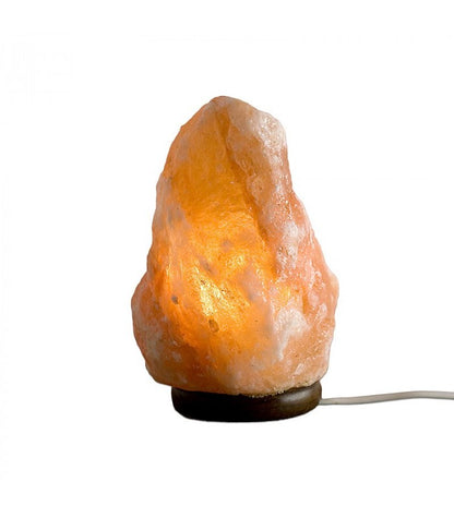 Lampada di Sale Rosa dell’Himalaya forma Grezza