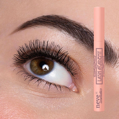Lash Academy