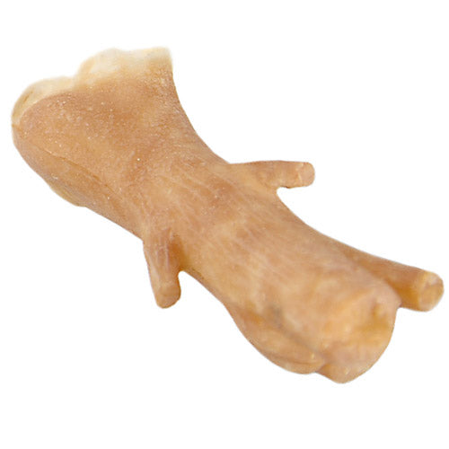 Latex prosthetics - Protesi in lattice nasi, orecchie e protesi complete