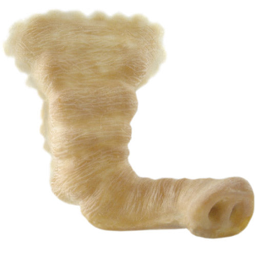 Latex prosthetics - Protesi in lattice nasi, orecchie e protesi complete