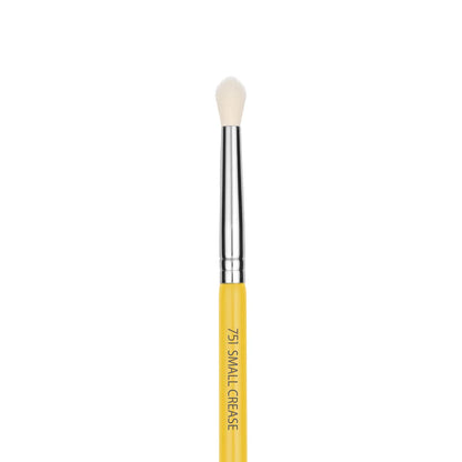 Studio 751 Small Crease