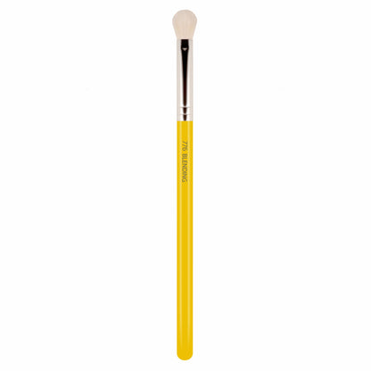 Studio 776 Blending