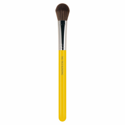 Studio 940 Face Blending