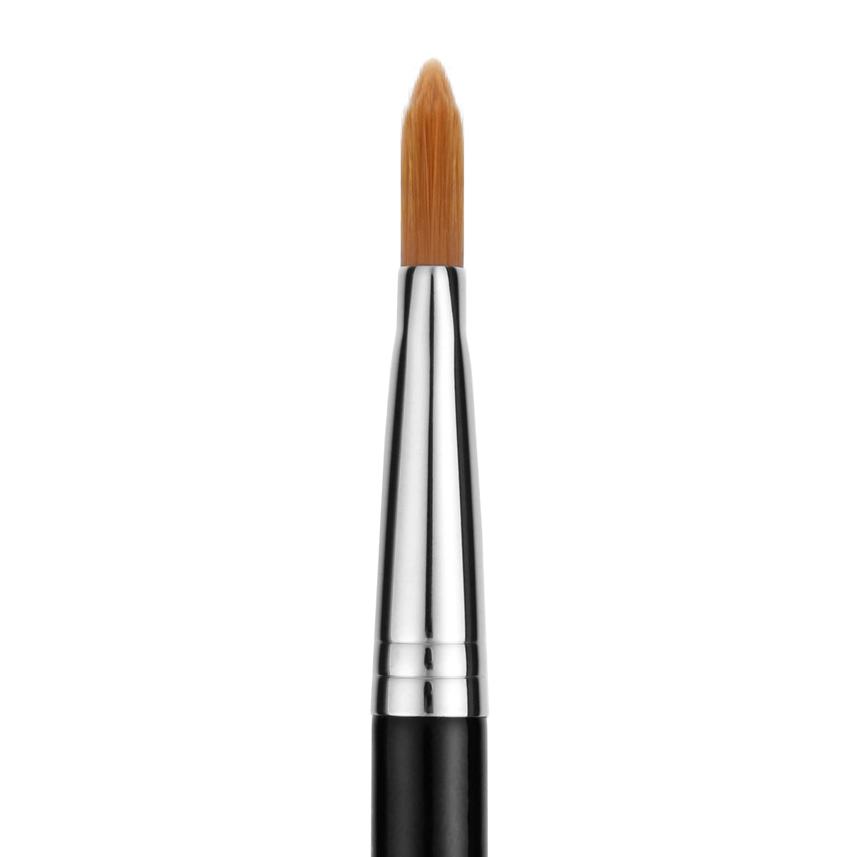Maestro 946 Firm Foundation