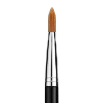 Maestro 946 Firm Foundation