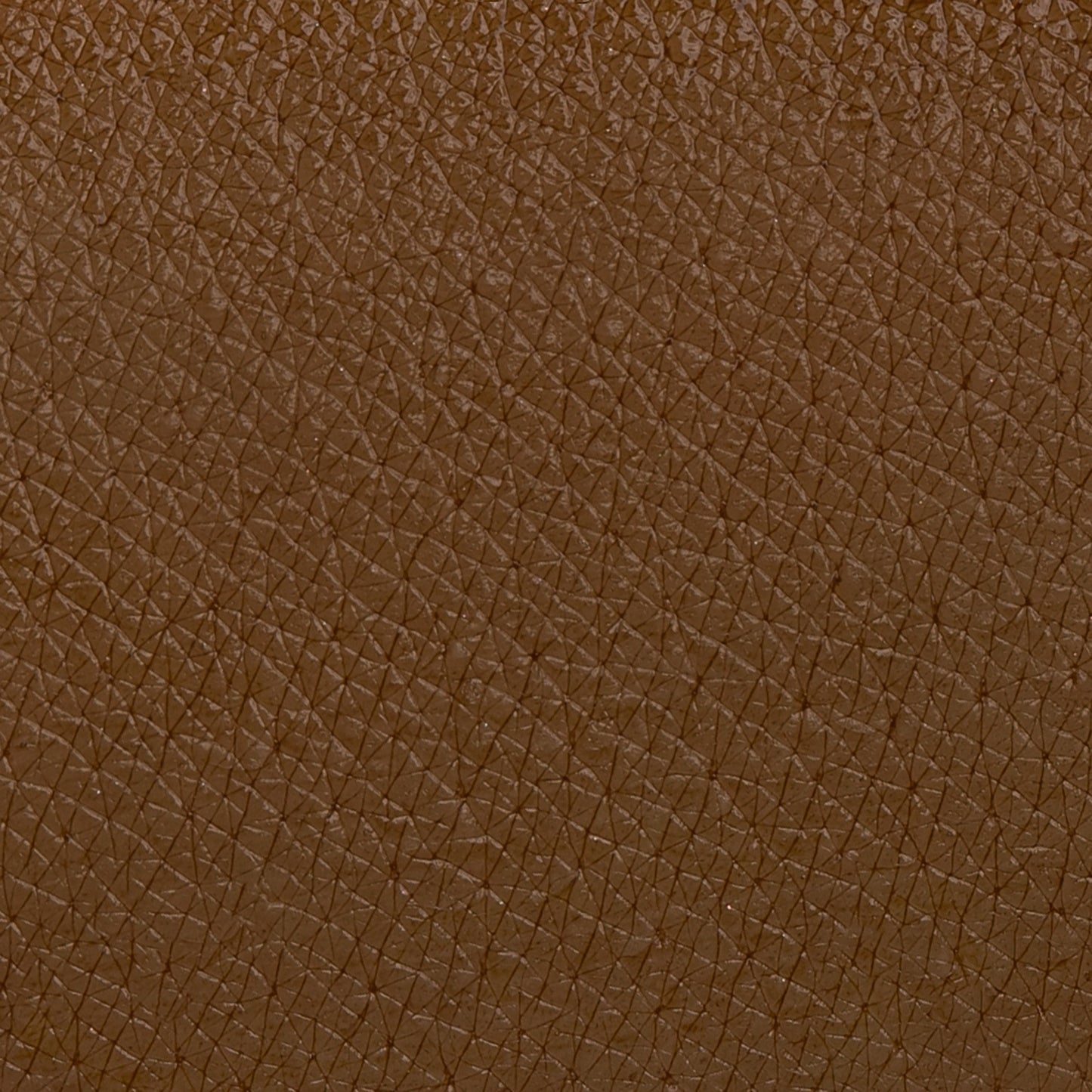Sopraccigliatore Castano - Effetto Naturale Lunga Durata