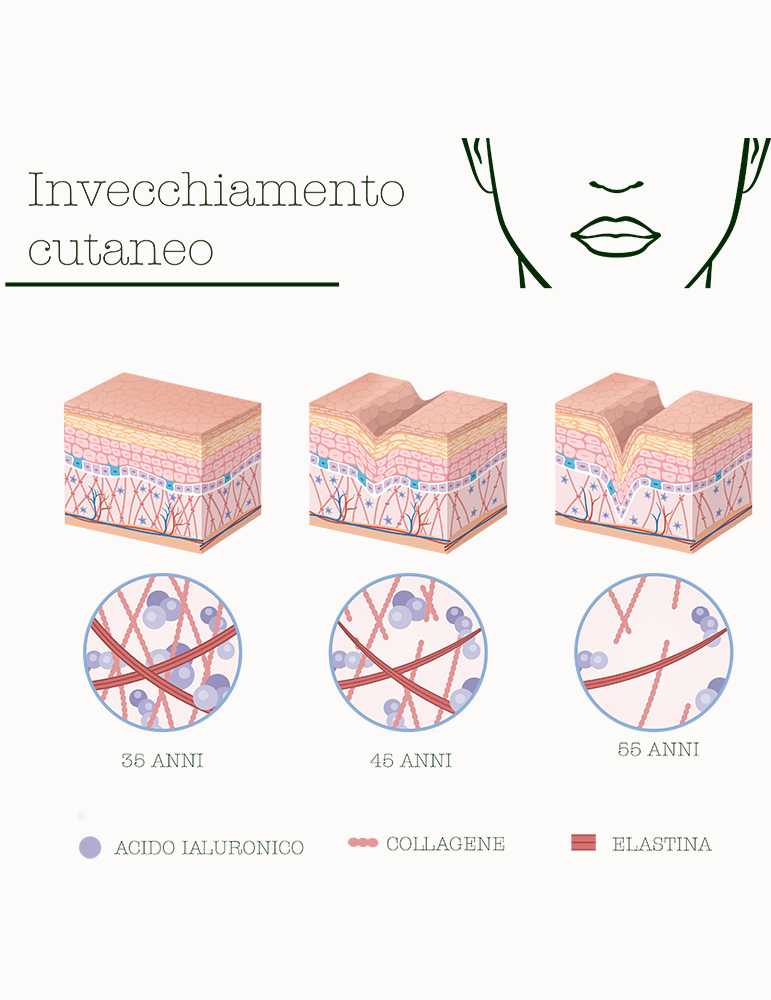 Fermentati Complex Siero Viso Liftante e Levigante