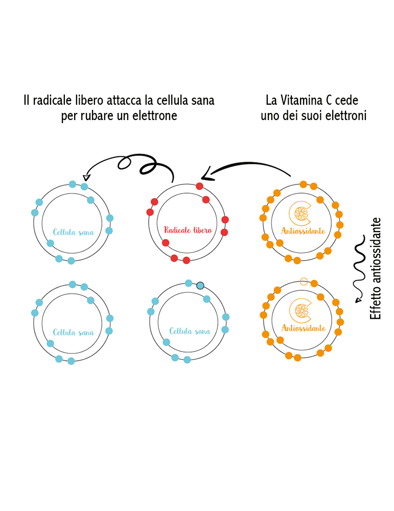 Vitamina C Stabile Siero Viso Illuminante Antimacchia