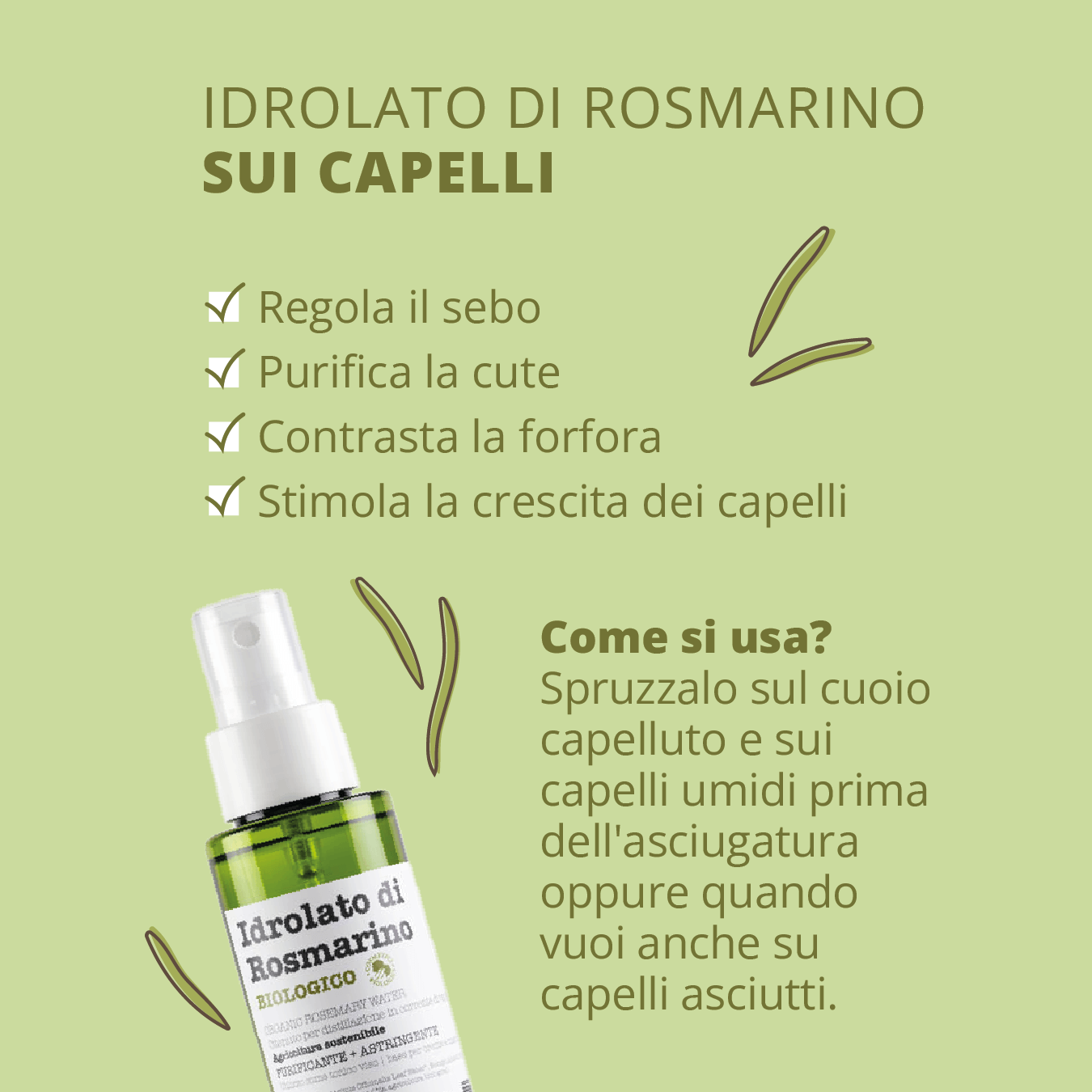 Idrolato di Rosmarino Bio Dermopurificante Viso e Capelli