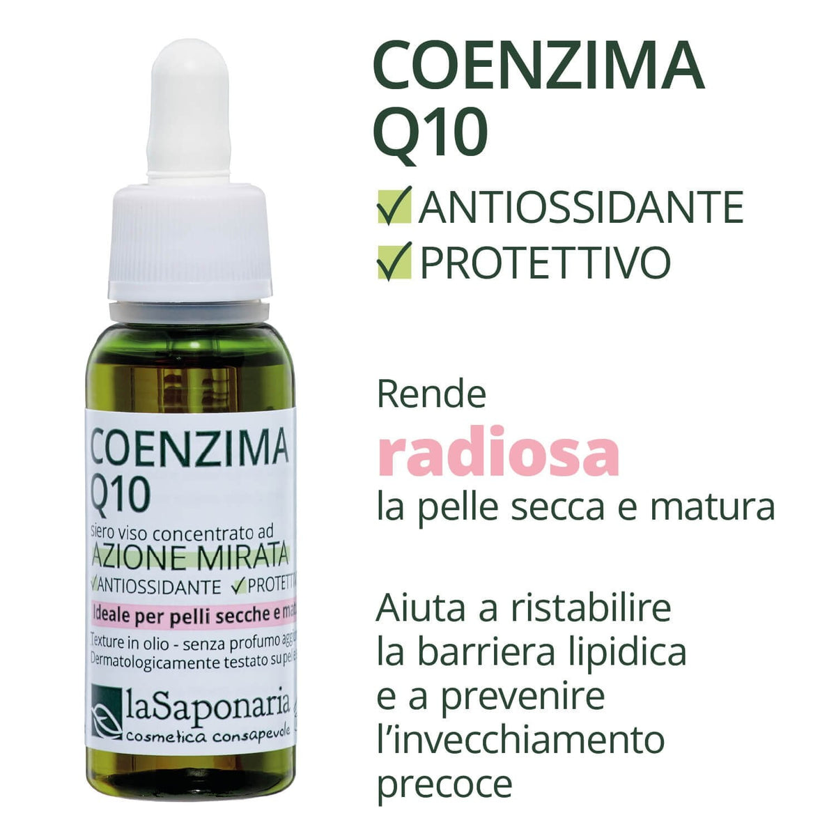Coenzima Q10 Siero Viso Idratante e Protettivo