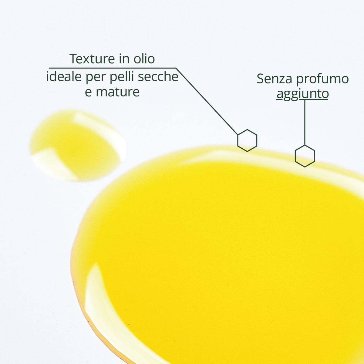 Coenzima Q10 Siero Viso Idratante e Protettivo